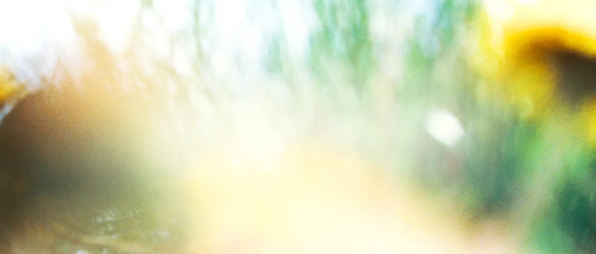 Ta vare på jorda, dyra og framtida